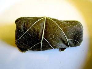 IMG_1077